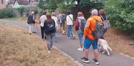 Team des IFD Schweinfurt bei einer Stadtführung in Karlstadt